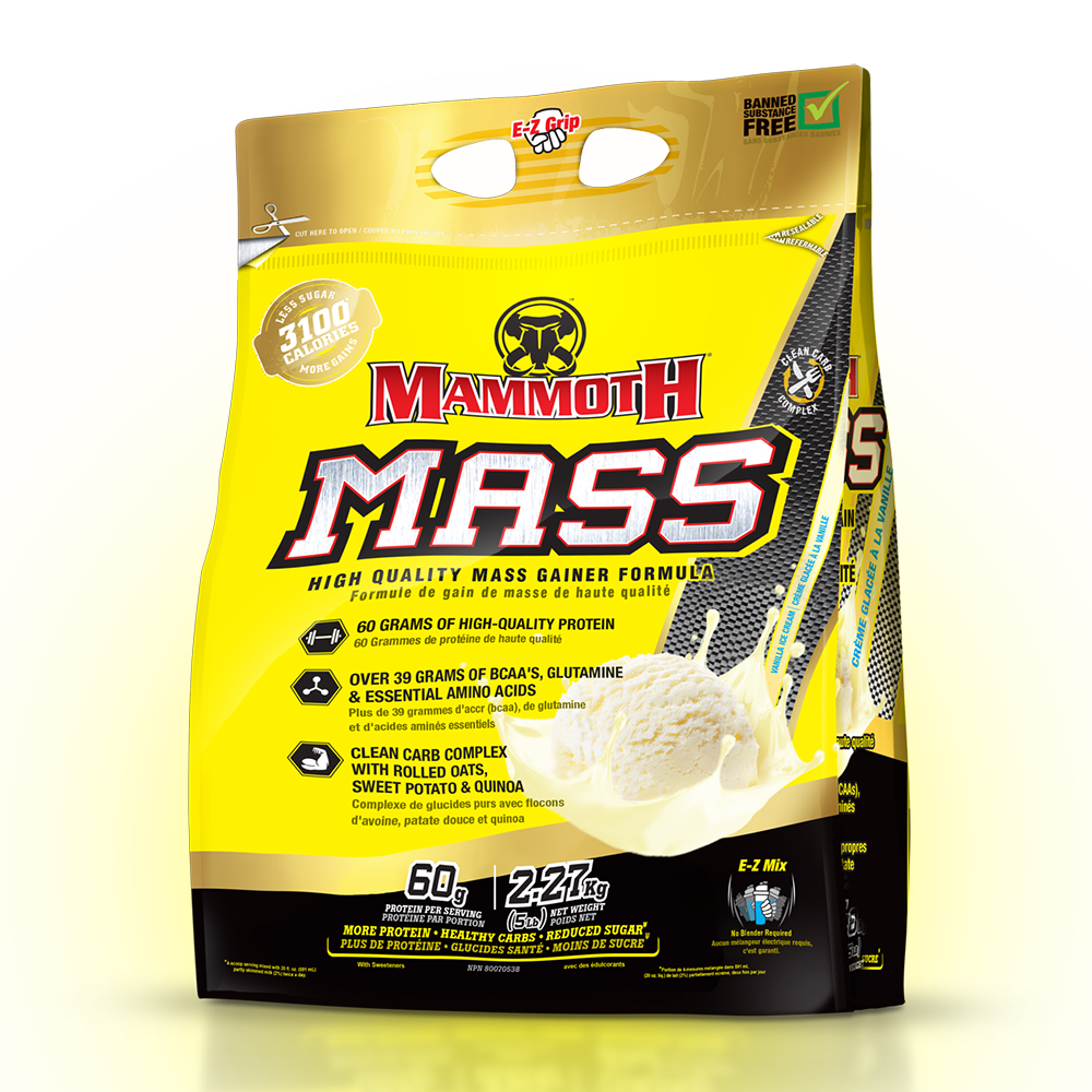 Mammoth Mass 5 lb - Vanilla Ice Cream