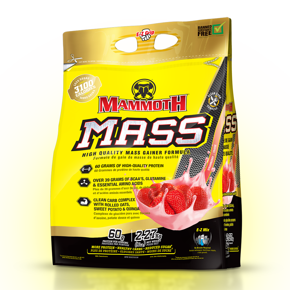 Mammoth Mass 5 lb - Strawberry